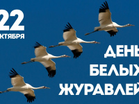 Летят в бессмертье журавли